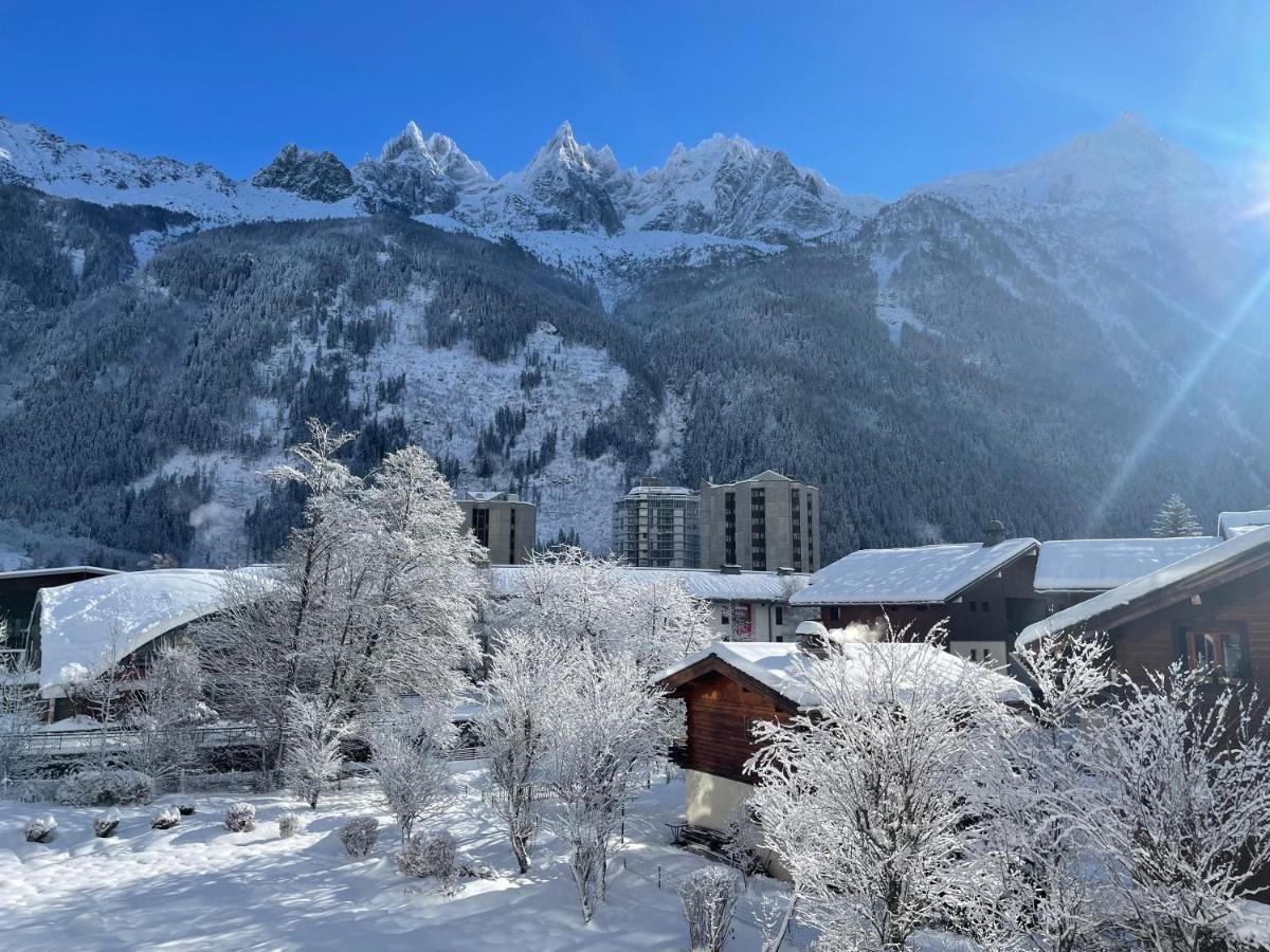 Apartament Z Widokiem Na Mt Blanc Apartment Chamonix Ngoại thất bức ảnh