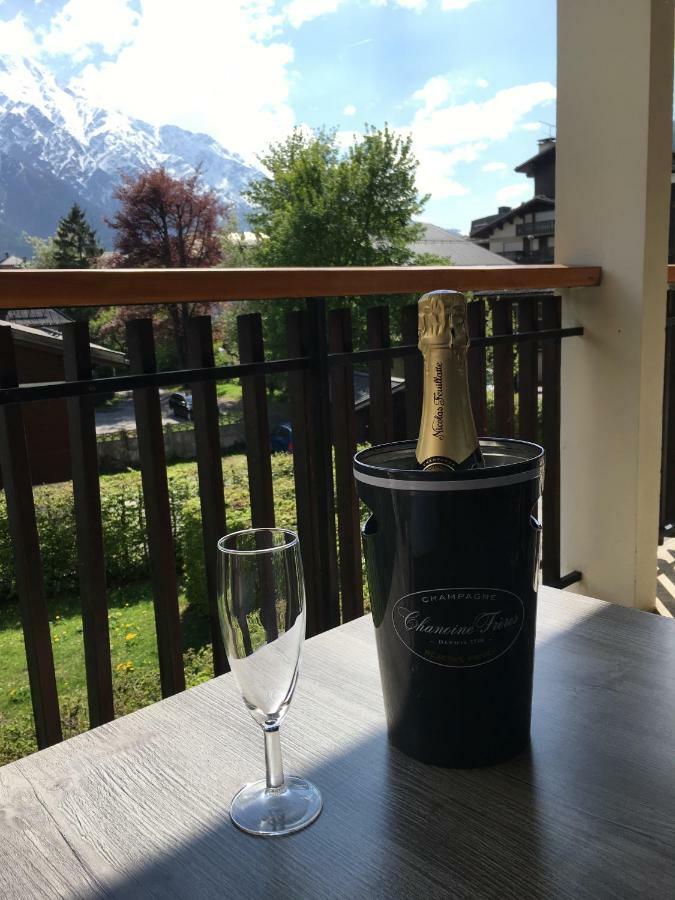 Apartament Z Widokiem Na Mt Blanc Apartment Chamonix Ngoại thất bức ảnh